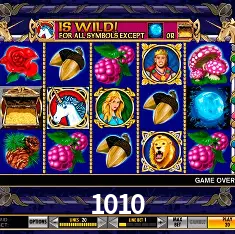 1010 Rio de Janeiro - Bonus Terms